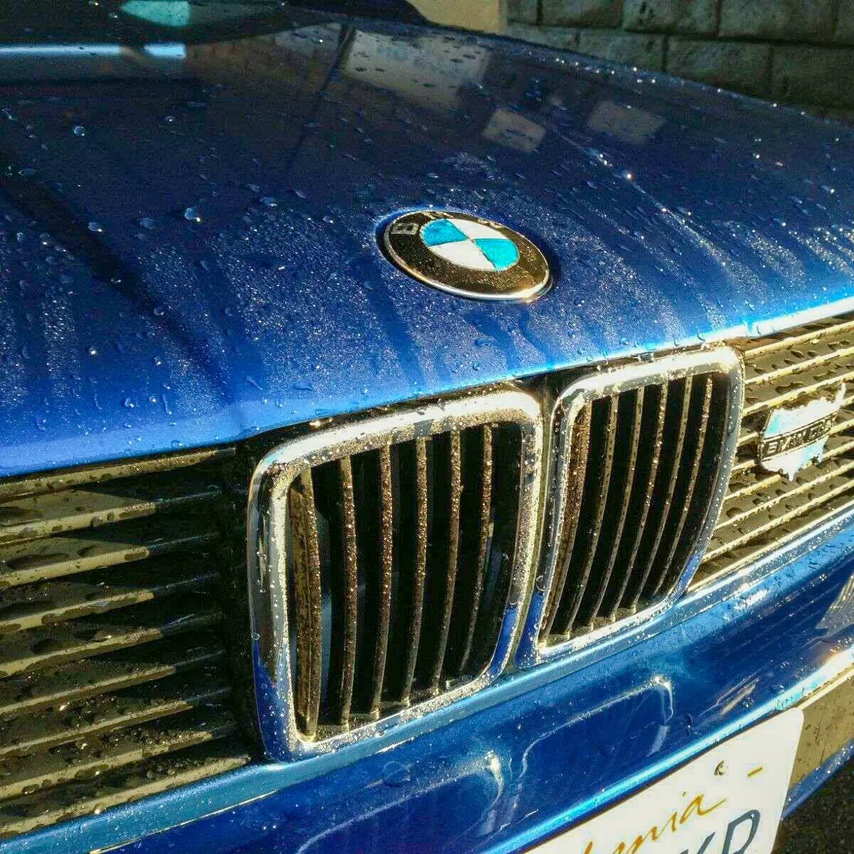 logo-capot-bmw-e30-e32-e36-e46-origine-oem-01_9f09efc9-593d-4078-ba20-301f80473096 - Revvo