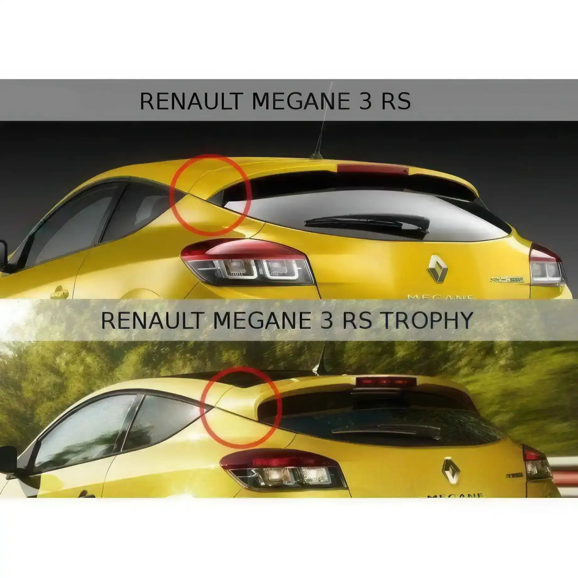 Becquet Maxton Renault Mégane 3 RS Trophy / Cup - Revvo