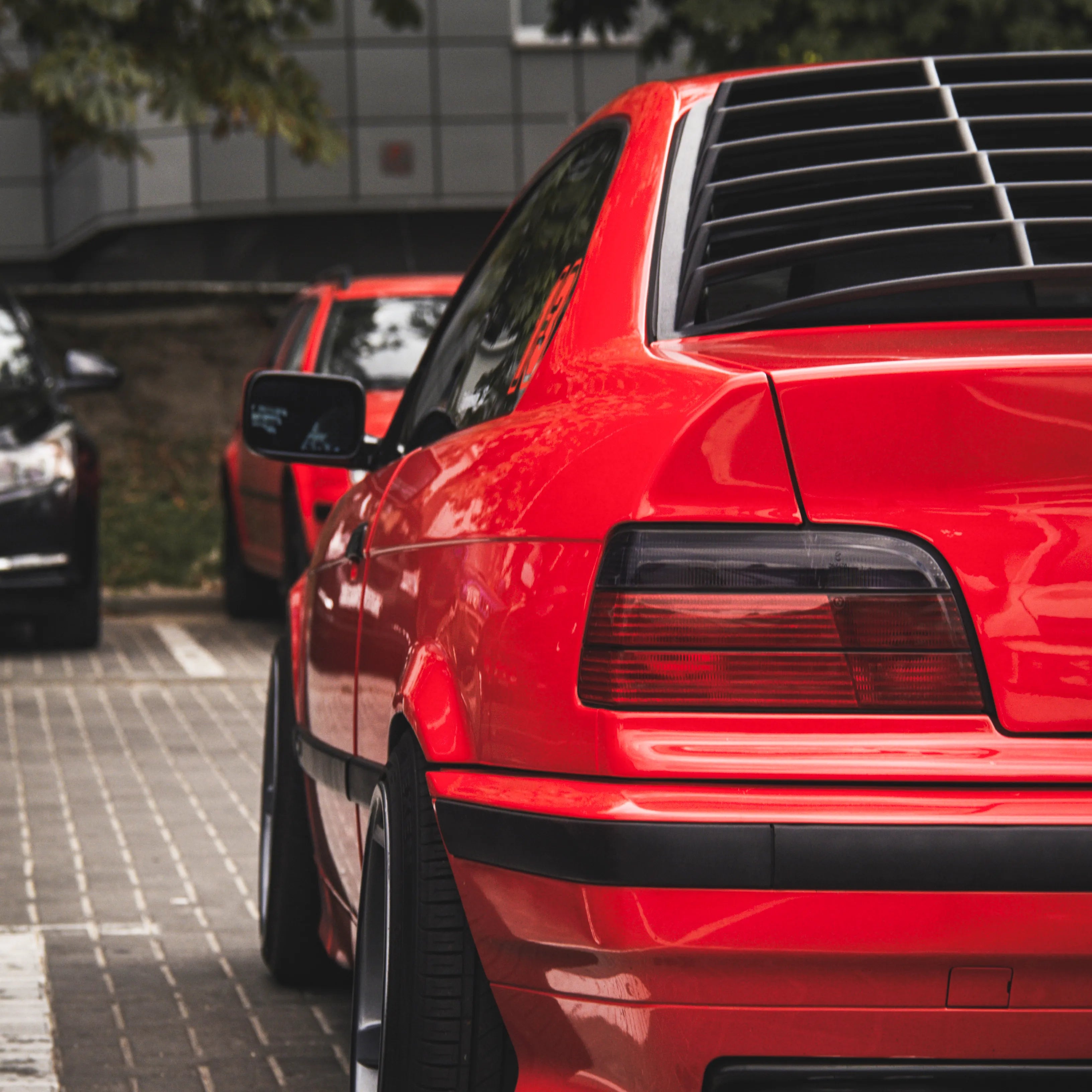 Persienne Lunette Arrière - BMW Série 3 E36 Coupé - Revvo